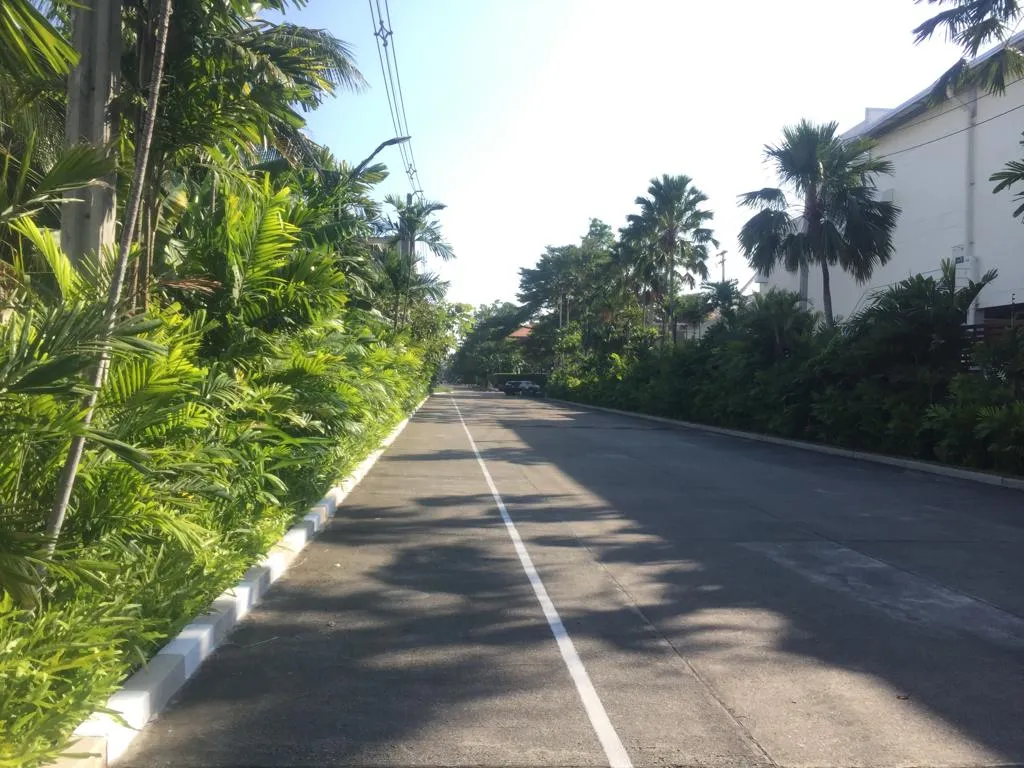 Tree-lined residential street inside Baan Issara Rama 9