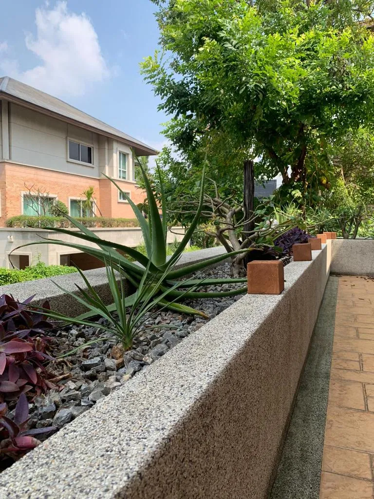 Planted balcony overlooking the residential street