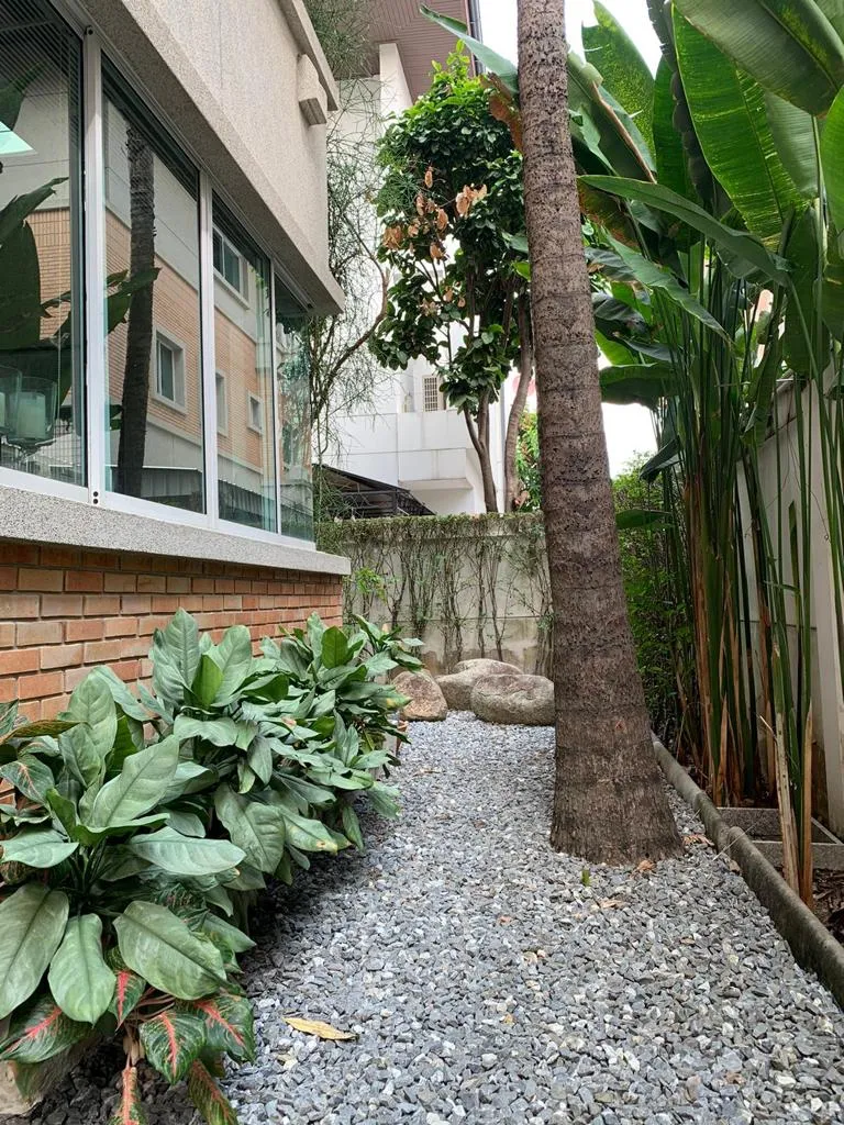 Gravel garden path with mature tropical planting