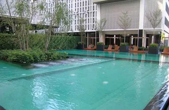 Outdoor swimming pool surrounded by planting