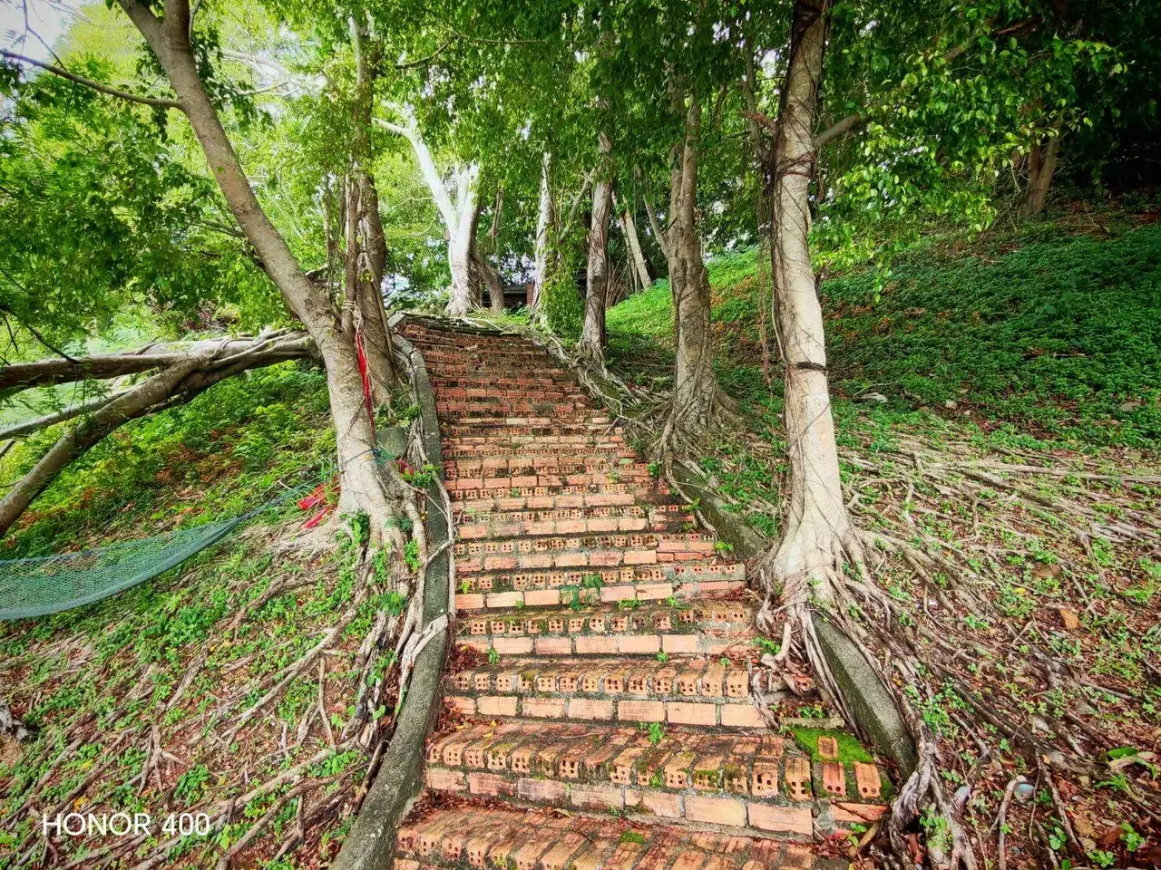 Brick stairway climbing through the wooded grounds