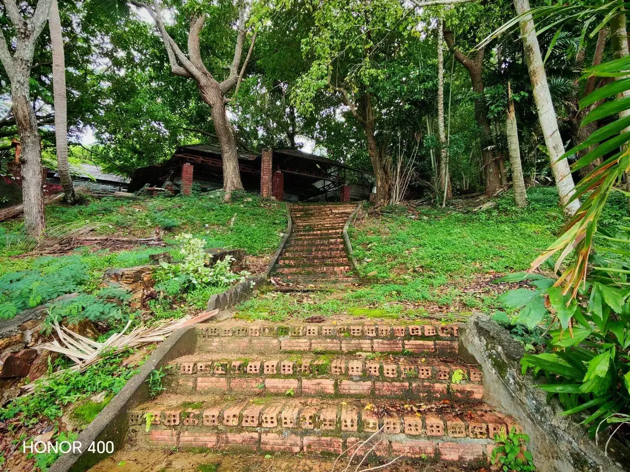 Brick garden steps crossing the sloping grounds