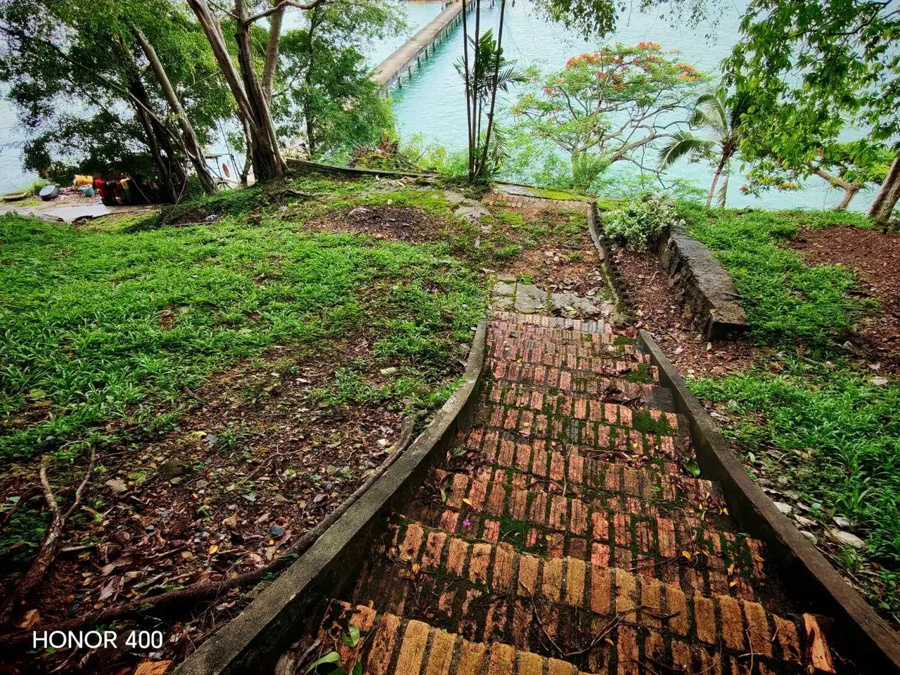 Hillside path leading through tropical vegetation