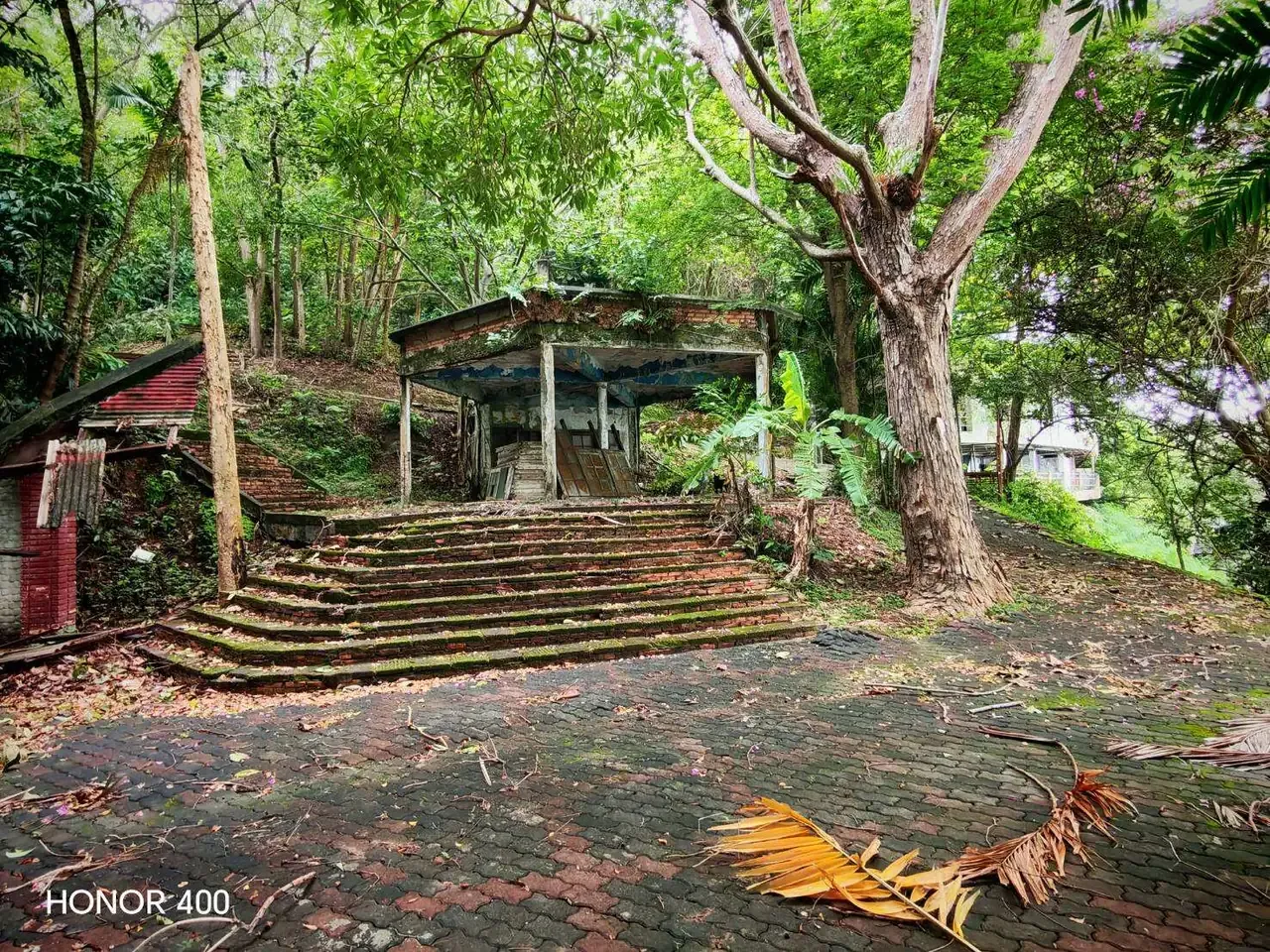 Garden steps leading to an open pavilion