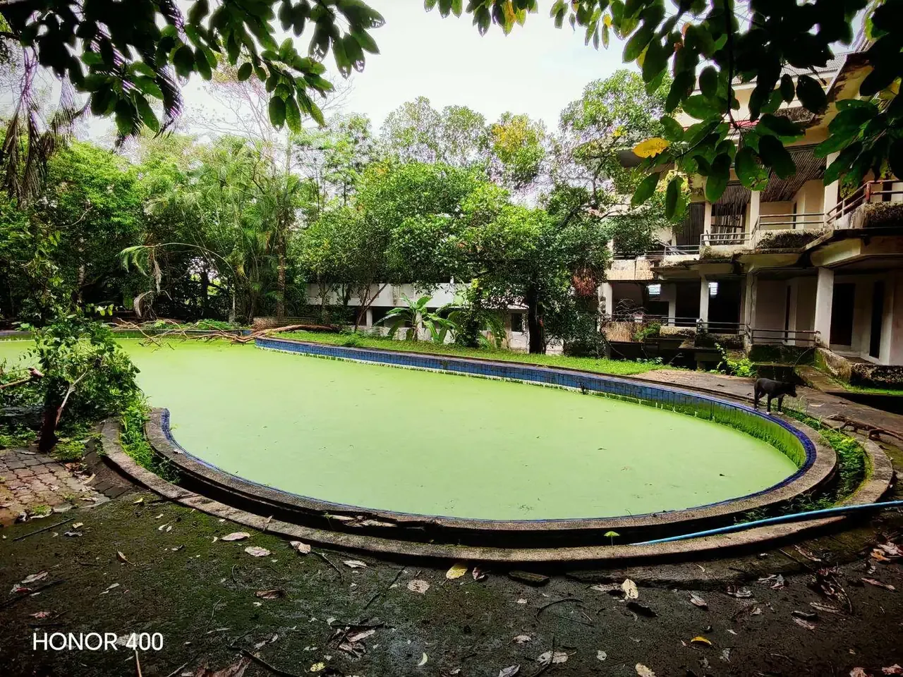 Pool terrace in front of the existing building