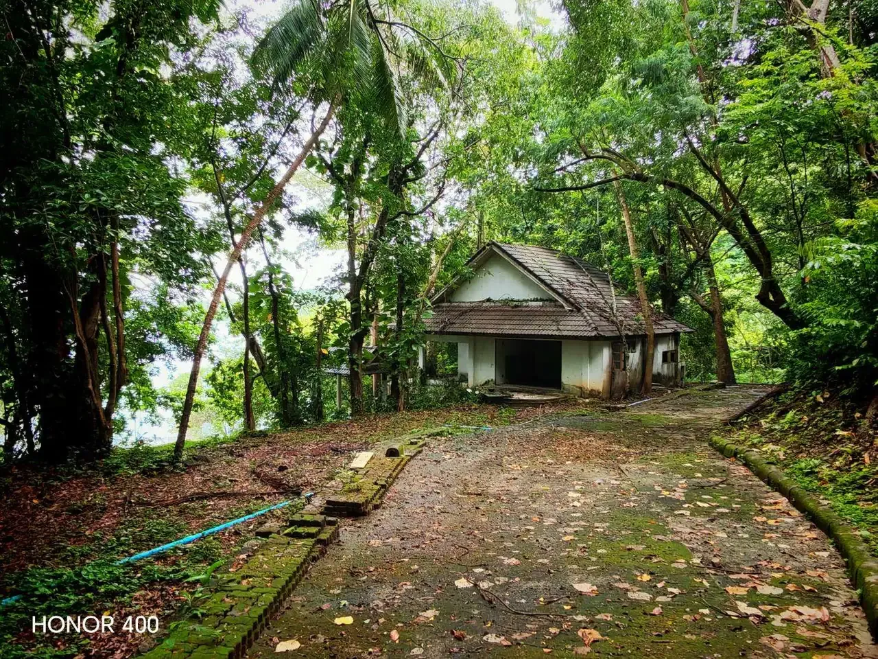 Bungalow reached by a path through the trees