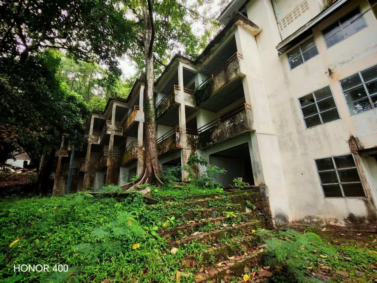 Main building facade beneath the tree canopy