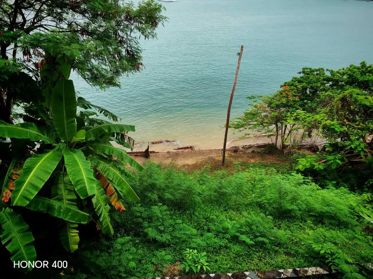Green hillside descending towards the shoreline