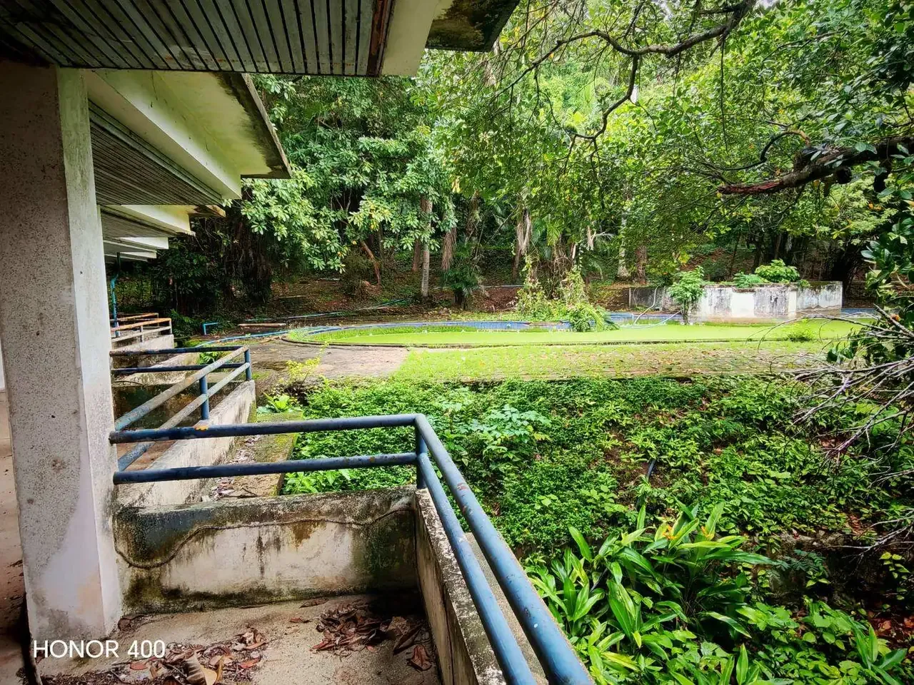 Balcony overlooking the swimming pool and garden