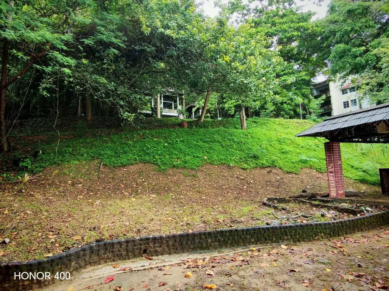 Lawn and existing accommodation beneath mature trees