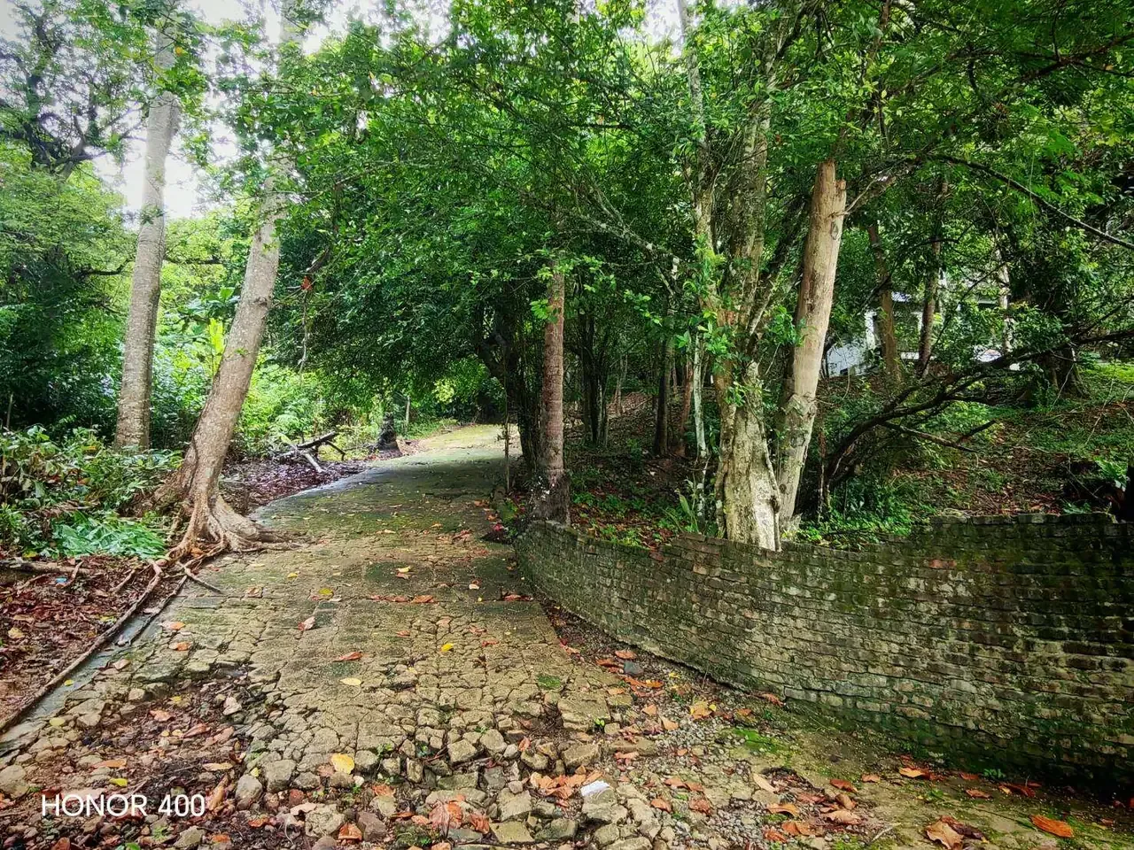 Brick path winding through the island grounds