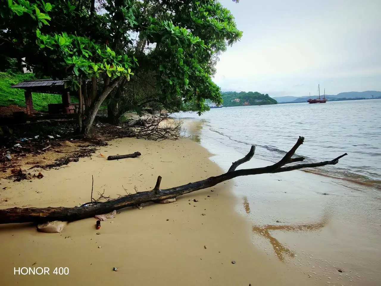 Sandy beach shaded by a broad waterfront tree