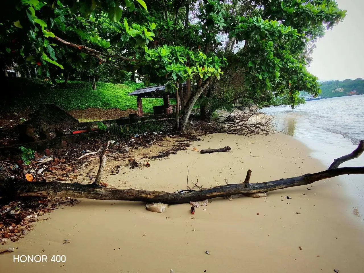 Sheltered beach beneath the tree canopy