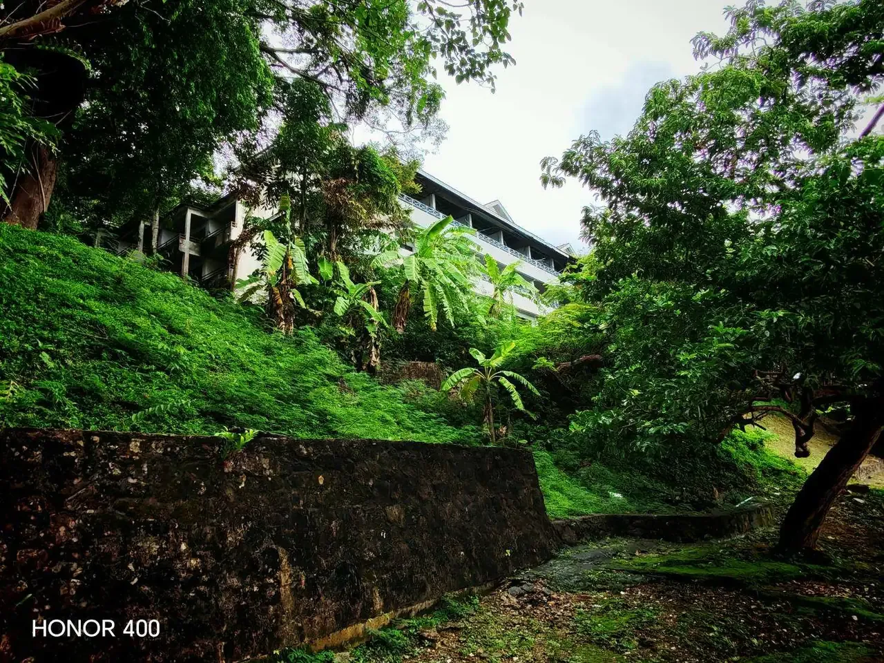 Tropical landscaping around an existing building