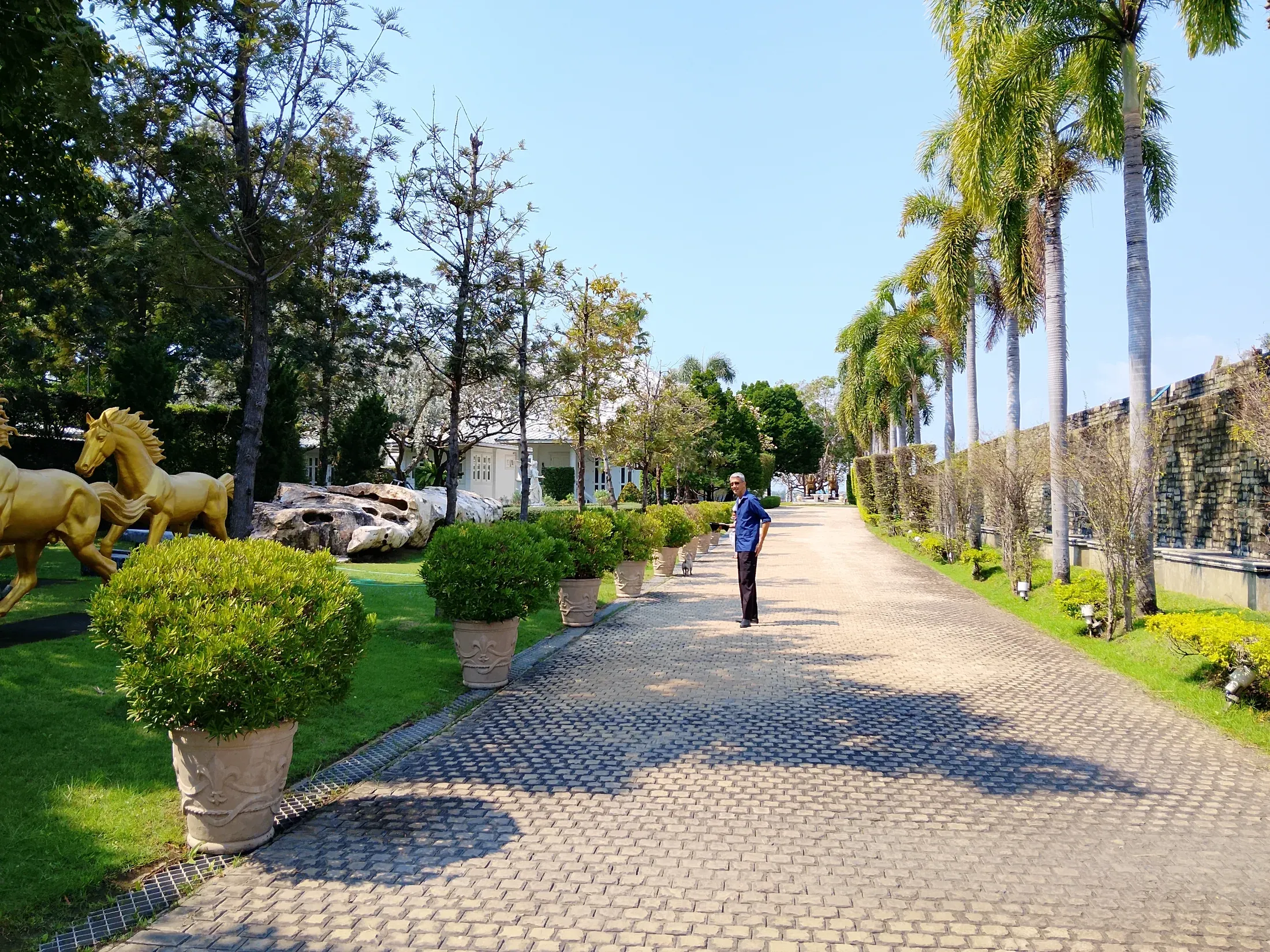 Palm-lined drive through the estate grounds