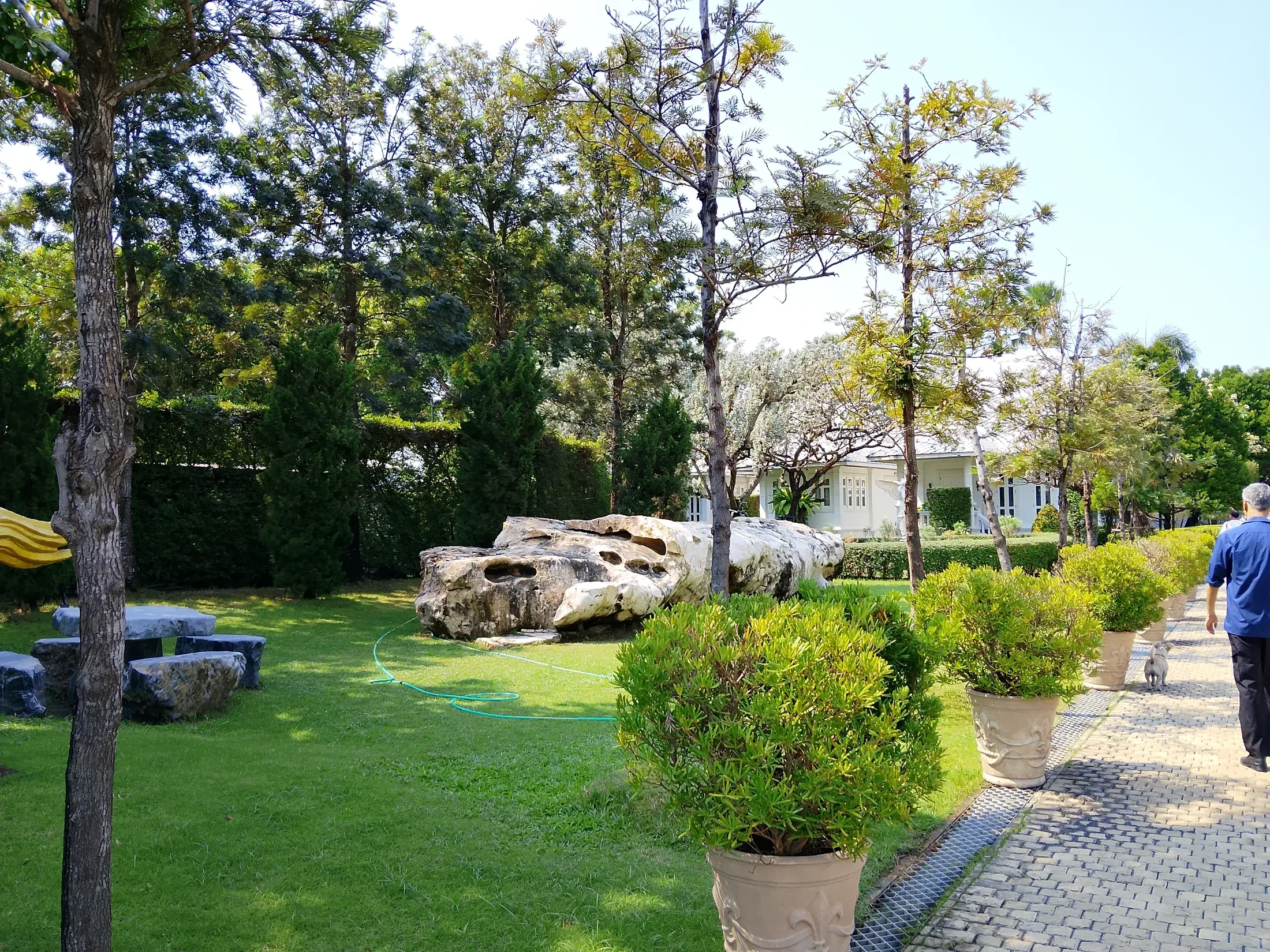 Rock garden and lawn between the residences