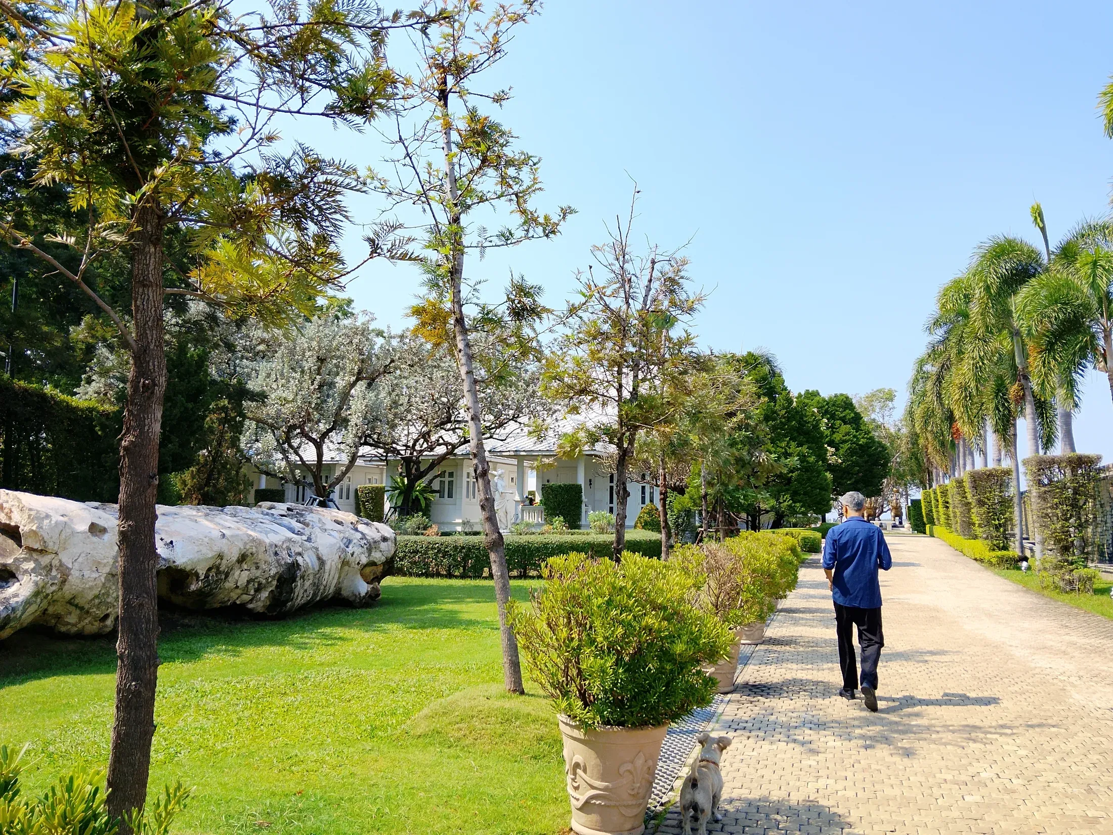 Landscaped walkway through the residential grounds