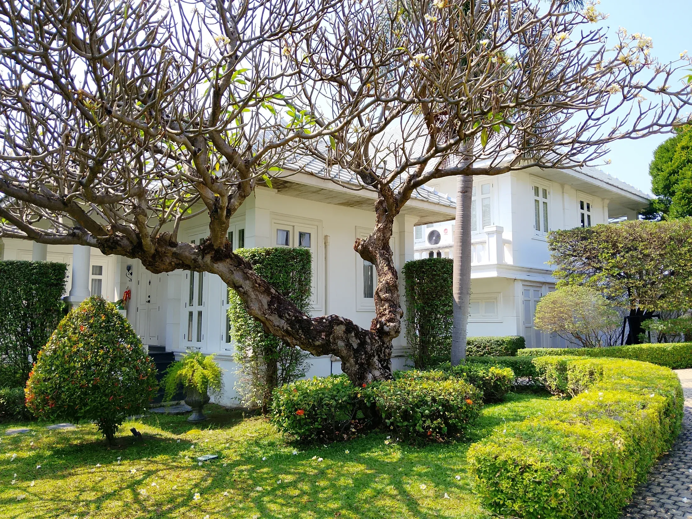 Guest house shaded by a mature garden tree