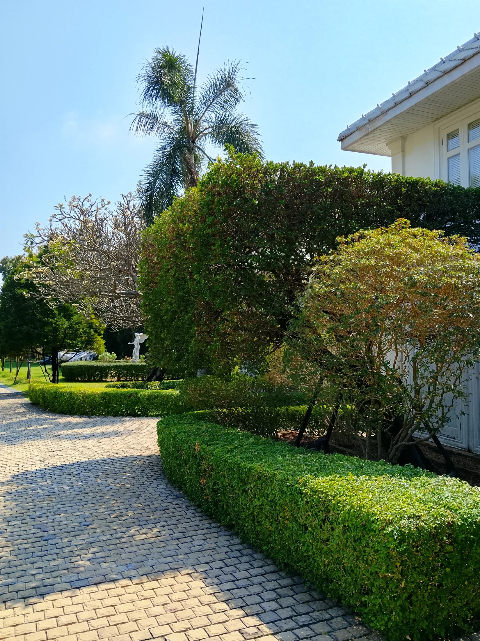 Planted courtyard between the estate buildings