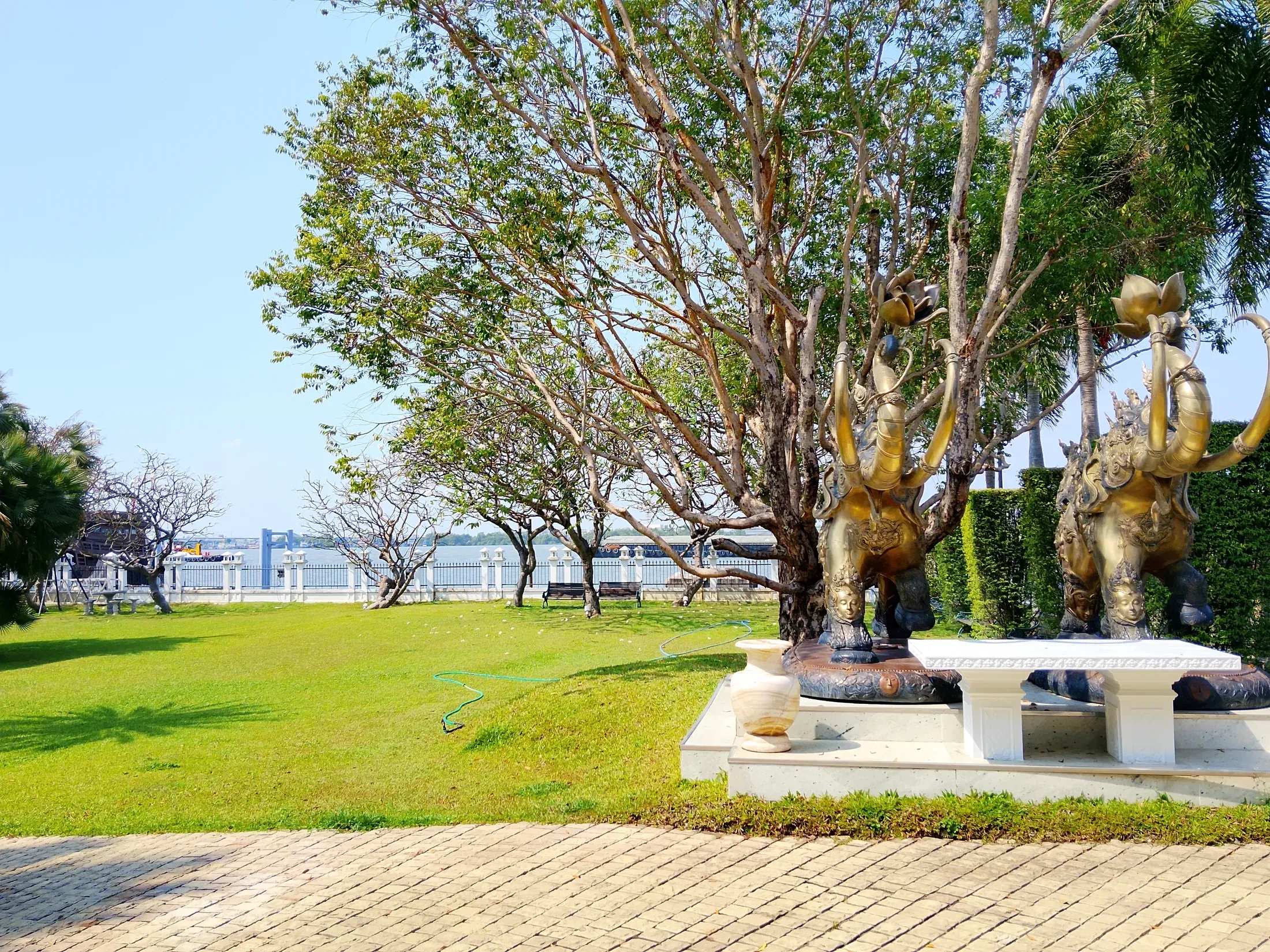Mature garden tree with seating on the riverside lawn
