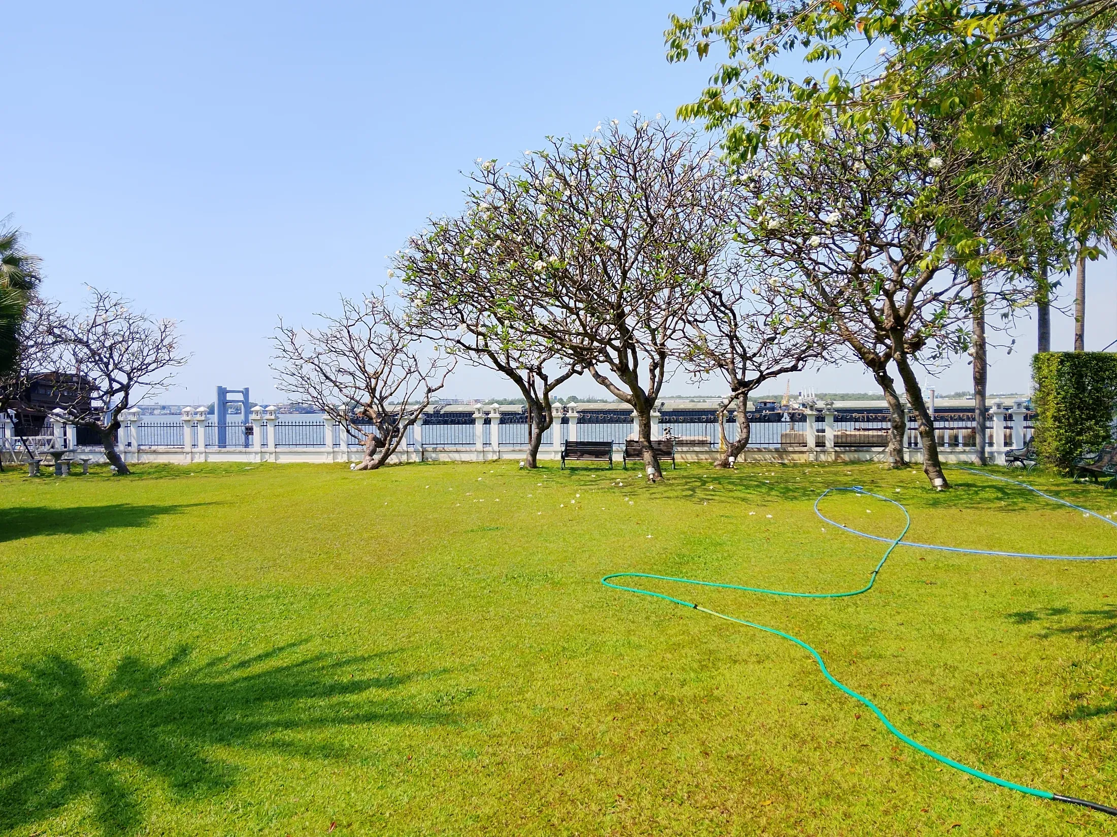 Open riverside lawn beneath established trees