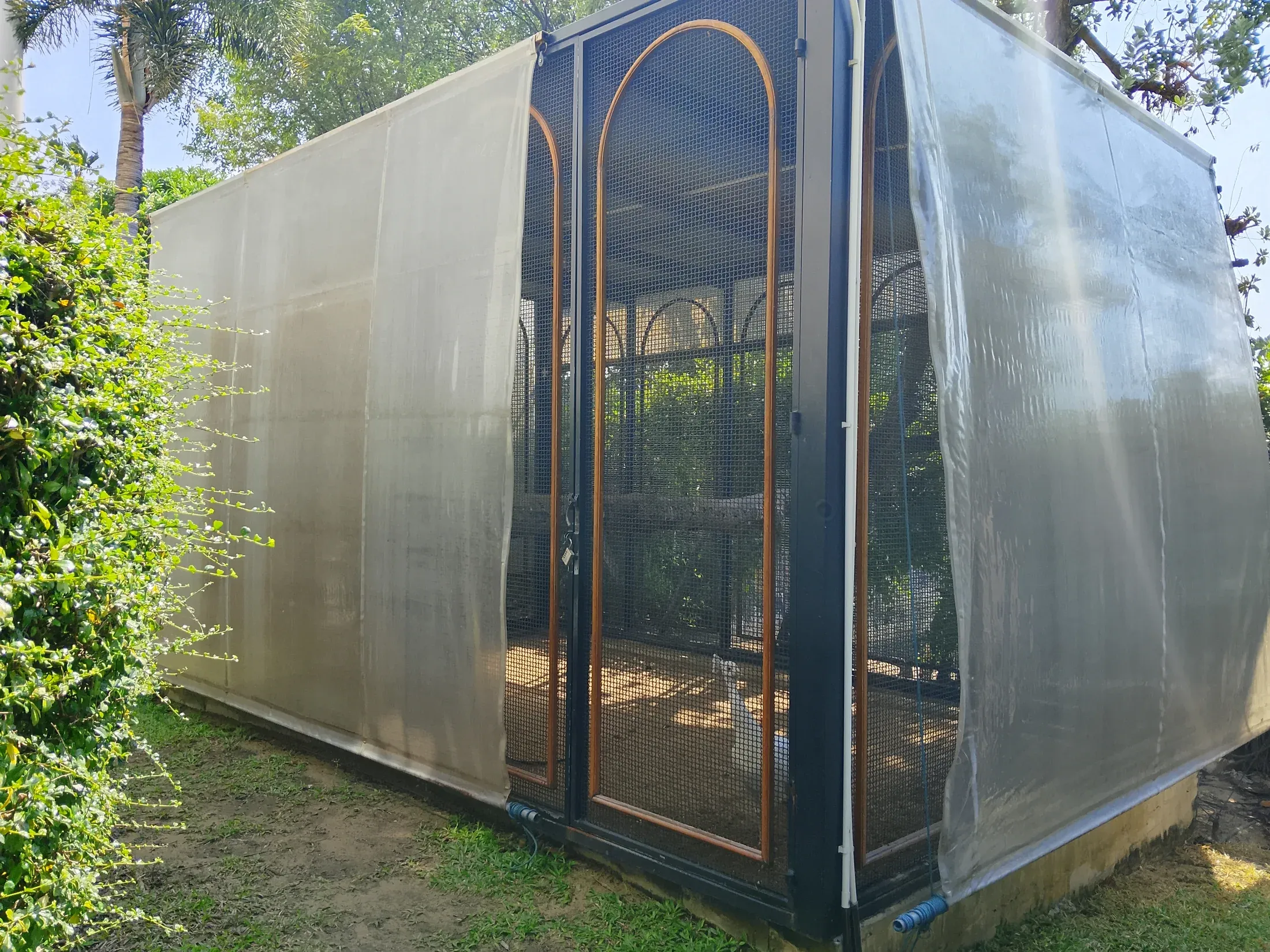 Curved glass garden pavilion beside mature trees